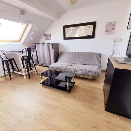 Lumineux Au Coeur De - Fr-1-675-49 Apartment